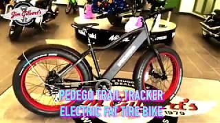 2020 PEDEGO TRAIL TRACKER | Jim Gilbert's PowerSports