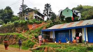 Morning Beauty of Nepali Mountain Village Life  | Bijaya Limbu