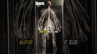 놀라운 인체의 신비