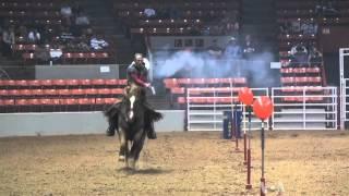 Cowboy Mounted Shooting Joins Houston Rodeo Competition