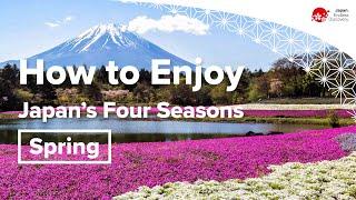 How to Enjoy Japan's Four Seasons | Spring