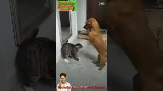 Ravindra kushwah brand basedi