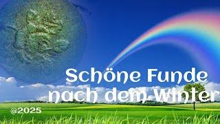 Endlich ist der Winter vorbei, und das Feld zeigt sich von der guten Seite!