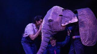 The Vanishing Elephant | New Victory Theater 2023-24 Season