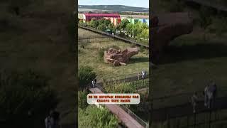 Краткая история парка львов Тайган