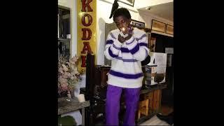 [FREE] Kodak Black 2000s Sample Type Beat "Passion Fruit"