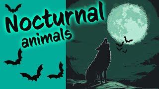 NOCTURNAL animals   awake at NIGHT