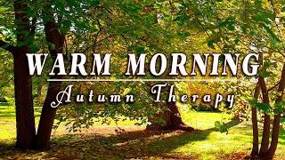 Autumn Therapy  Healing Frequency Warm Morning & Birds | Positive Energy Forest Ambience Meditation