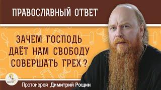 Зачем Господь дает нам свободу совершать грех ? Протоиерей Димитрий Рощин