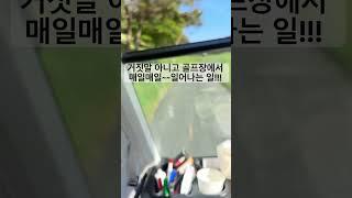 한결같은 골퍼들 #캐디 #골프클럽 #분실물