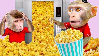 Popcorn Party with Mr. Monkey and Monkey Pi  | Mr. Monkey Animal