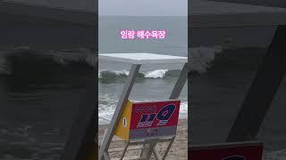 #임랑해수욕장 #임랑바닷가 #임랑 #부산바다