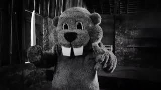 Beaver brawl clip from the film 'Hundreds of Beavers' (2024)