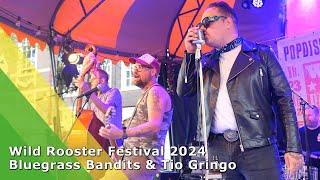 Wild Rooster Festival 2024 (Bluegrass Bandits & Tio Gringo)