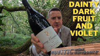 Alexandre Gauvin Gevrey Chambertin 2017 (from Majestic Wine)