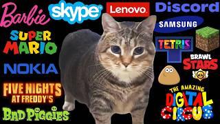 OIIAOIIA CAT: Different Universes