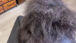 How to fix damaged hair | She has a lot of breakage!!