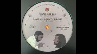 David VS. Goliath - H.I.M LS. Toroki - Dandelion Soundsystem - New Flower Records NFR006