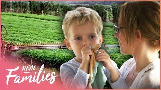 Real Families Exposé: The Truth About Chemicals in Kids' Food