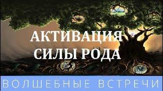 Савва Барс Универсальный ключ исцеления.  Активация силы рода!