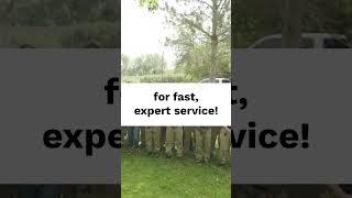 Need Fast Service? Were Here to Help!  #shorts