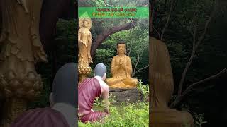 서울 구산동 수국사 / 황금법당 / 1분 저절로 영상산책  (45번째) #1분사찰여행 #저절로TV #저절로영상산책