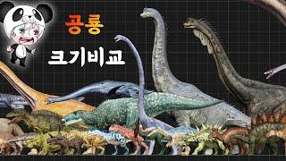 공룡 크기 비교!!! 역대급 꿀잼 보장 실사랑 화석도 보면서 사람과 비교해서 사이즈에 깜놀해보자!! 애니메이션 상황극 [꿈토이 꿀잼 리액션]