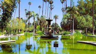 Will Rogers Memorial Park, A Beverly Hills Public Park