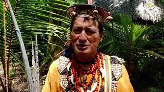 MAPINIKI - Living in the Peruvian Amazon - Ep. 2: How the community was born