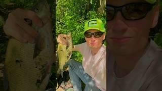 ТРОФЕЙНЫЙ УЛОВ НА МАХОВУЮ УДОЧКУ 4м! #фишермания #рыбалка #youtube #shorts #поплавок