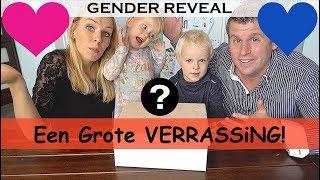 JONGEN OF MEiSJE? | GENDER REVEAL | 18 WEKEN ZWANGER | Bellinga Bonus Vlog