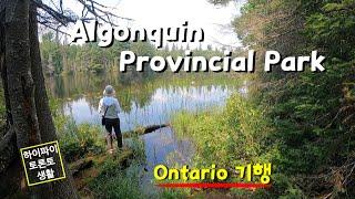 온타리오 최고의 주립공원 (Algonquin Provincial Park)