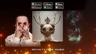 Dmytro Somov - Tribal Spirit || Viking Music