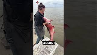 solte os peixes no mar #viralvideo #shorts #trending #funny