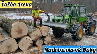 Logging, large timber, forestry tractor, hard work, forestry work, chainsaw Stihl ms 461