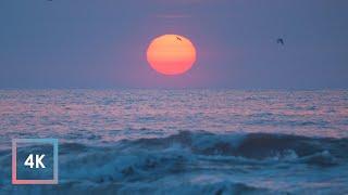 Relaxing Ocean Sounds and Sunrise at Hilton Head Island, Chill Ocean Waves