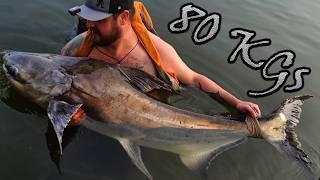 Catching Monster Catfish in Chiang Mai Made Easy