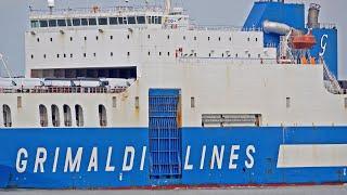 51 MINUTES OF AMAZING SHIPPING TRAFFIC AT WALSOORDEN, WESTERN SCHELDT 4K SHIPSPOTTING JULY 2024