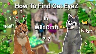 How To Find Cat EyeZ in WildCraft Online ( Requested ) + Teaser