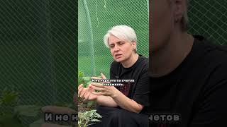 Сепарация РЕБЁНКА с ОТЦОМ #желания #светлана#имя #интервью #твоя_опора_мира #деньги #podcast