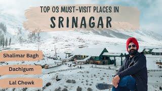 03 Famous Places to Visit in Srinagar District || Srinagar Famous Tourist Attractions |Crazy Tourist