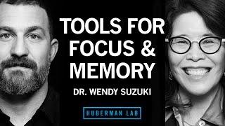 Dr. Wendy Suzuki: Boost Attention & Memory with Science-Based Tools | Huberman Lab Podcast #73