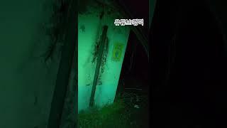 흉가체험[폐교] #공포 #폐가 #경덕