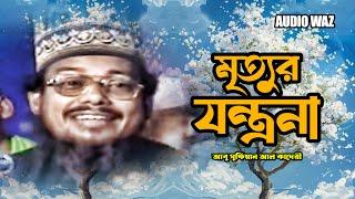 মৃত্যুর যন্ত্রনা | আবু সুফিয়ান আল কাদেরী | Mawlana Abu Sufian Al Qaderi | Waz 2024