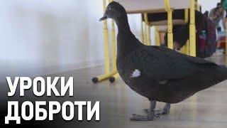 Як курка та качка виховують у дітях доброту в румунській школі