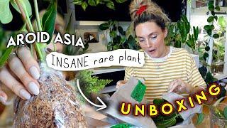 Mind-Blowing Rare Plant Haul  AROID ASIA Houseplant Unboxing