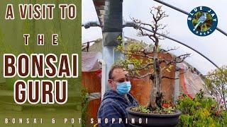 A winter visit to The Bonsai Guru. Bonsai & Bonsai Pot Shopping!