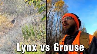 Hunting: Lynx Almost Gets My Grouse