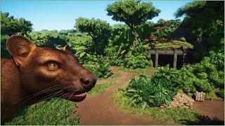 ️ Natural fossa habitat | Conuco Zoo | Planet Zoo | speedbuild