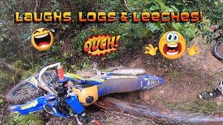 LAUGHS, LOGS & LEECHES! Yamaha WR250R, KTM, Husqvarna, Husaberg. Watagan State forest Australia.